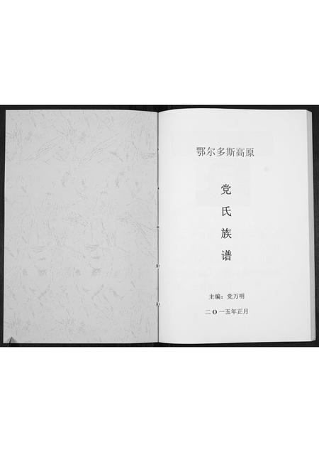 内蒙党氏-党氏族谱.pdf电子版插图1