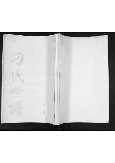 山东刁氏-刁氏世谱[5卷].pdf电子版