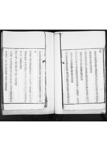 山东刁氏-刁氏世谱[不分卷].pdf电子版插图5