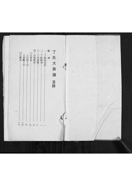 山东丁氏-丁氏大族谱[不分卷].pdf电子版插图1