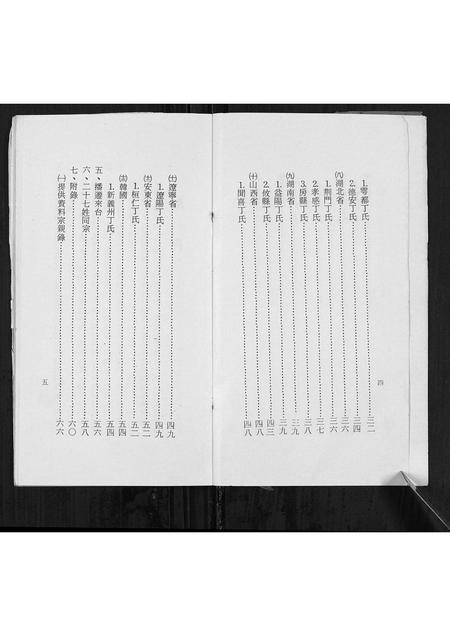 山东丁氏-丁氏大族谱[不分卷].pdf电子版插图3