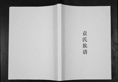 四川袁氏-袁氏族谱.pdf电子版插图