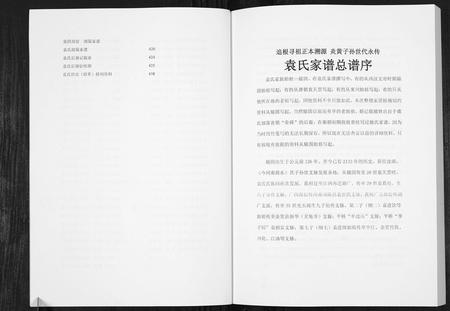 四川袁氏-袁氏族谱.pdf电子版插图3