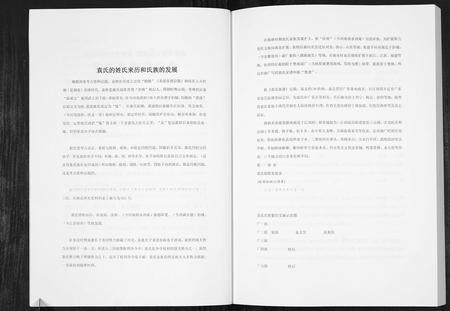 四川袁氏-袁氏族谱.pdf电子版插图4
