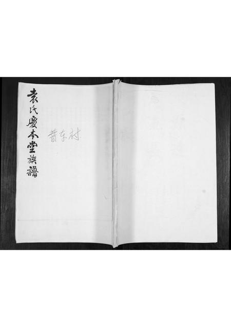 山东袁氏-袁氏庆本堂族谱.pdf电子版插图 山东袁氏-袁氏庆本堂族谱.pdf电子版插图