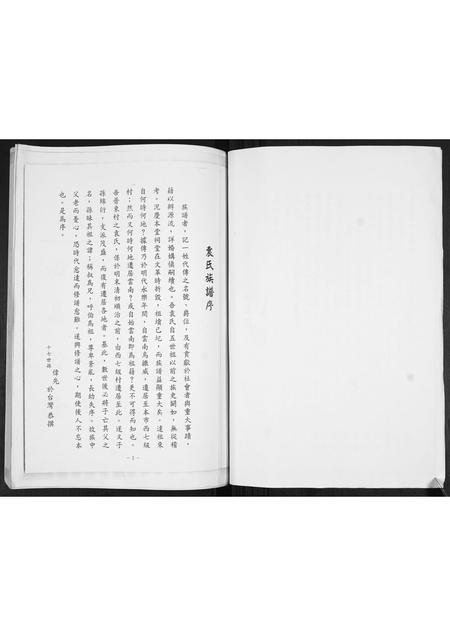 山东袁氏-袁氏庆本堂族谱.pdf电子版插图2 山东袁氏-袁氏庆本堂族谱.pdf电子版插图2