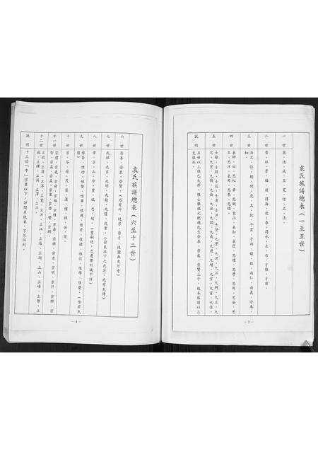 山东袁氏-袁氏庆本堂族谱.pdf电子版插图4 山东袁氏-袁氏庆本堂族谱.pdf电子版插图4