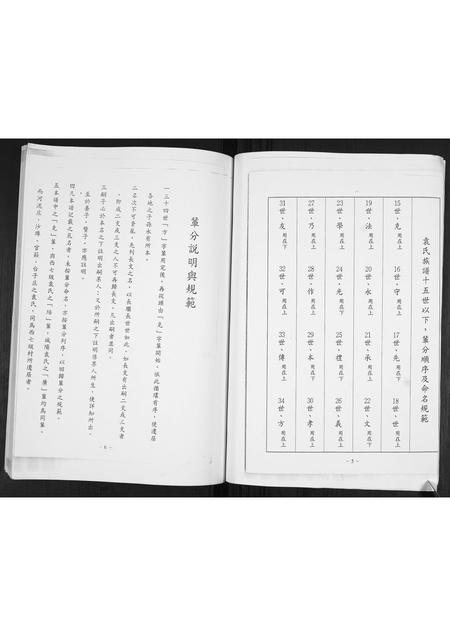 山东袁氏-袁氏庆本堂族谱.pdf电子版插图5 山东袁氏-袁氏庆本堂族谱.pdf电子版插图5