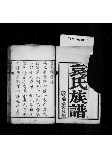 山东袁氏-袁氏族谱.pdf电子版插图1 山东袁氏-袁氏族谱.pdf电子版插图1