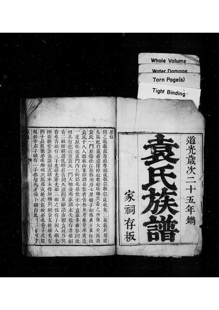 山东袁氏-袁氏族谱.pdf电子版插图1 山东袁氏-袁氏族谱.pdf电子版插图1