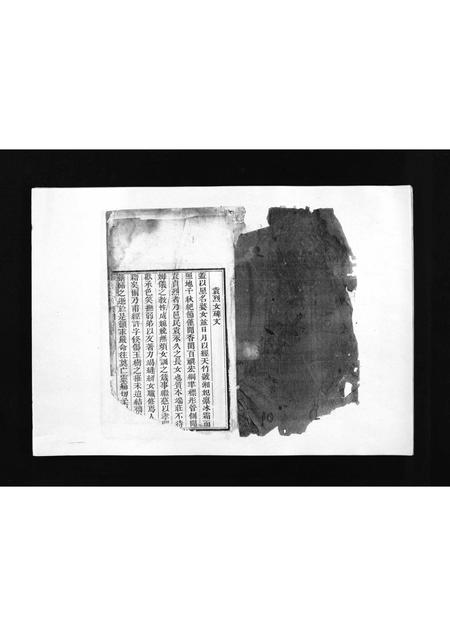 山东袁氏-袁氏族谱 [卷数不详](别名：Yuan Shi Zu Pu).pdf电子版插图2