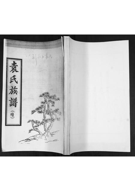 山东袁氏-袁氏族谱(续).pdf电子版插图 山东袁氏-袁氏族谱(续).pdf电子版插图