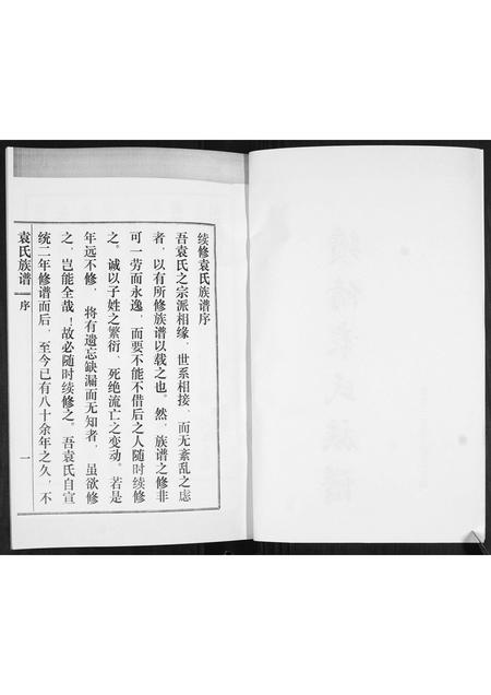 山东袁氏-袁氏族谱(续).pdf电子版插图2 山东袁氏-袁氏族谱(续).pdf电子版插图2