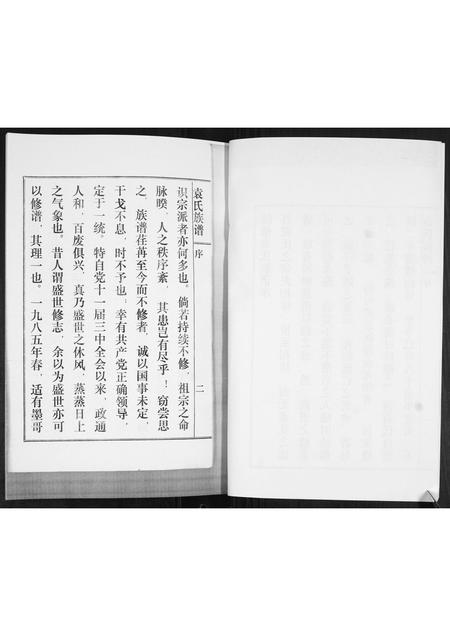 山东袁氏-袁氏族谱(续).pdf电子版插图3 山东袁氏-袁氏族谱(续).pdf电子版插图3