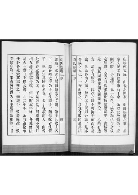 山东袁氏-袁氏族谱(续).pdf电子版插图4 山东袁氏-袁氏族谱(续).pdf电子版插图4