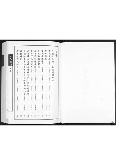 山东丁氏-丁氏族谱.pdf电子版插图2