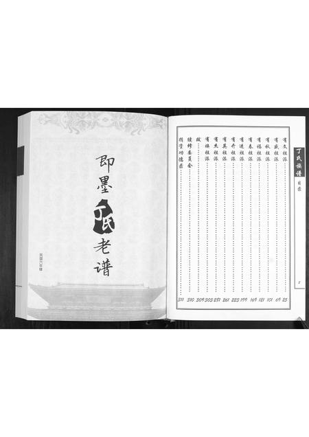 山东丁氏-丁氏族谱.pdf电子版插图3