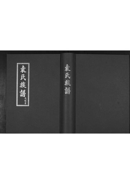 山东袁氏-袁氏族谱[不分卷].pdf电子版