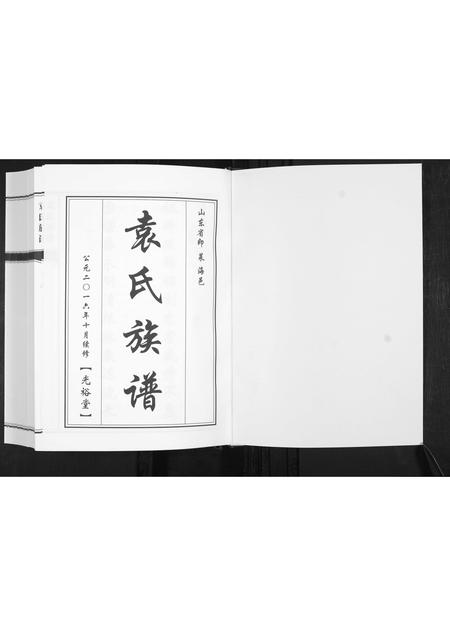 山东袁氏-袁氏族谱[不分卷].pdf电子版插图1