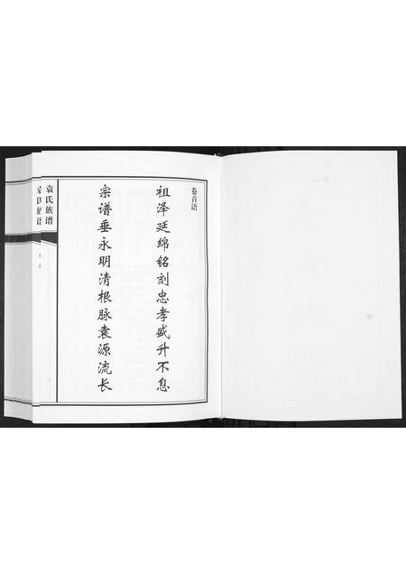 山东袁氏-袁氏族谱[不分卷].pdf电子版插图2