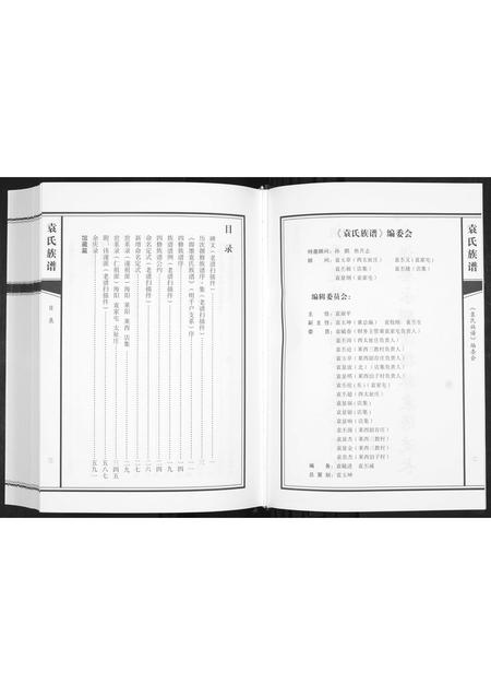 山东袁氏-袁氏族谱[不分卷].pdf电子版插图3