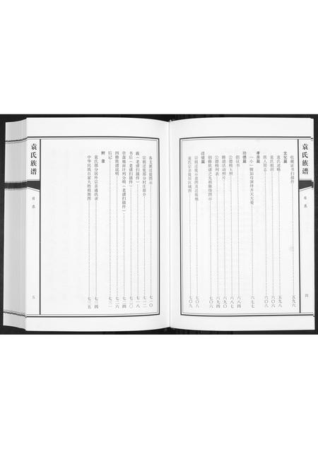 山东袁氏-袁氏族谱[不分卷].pdf电子版插图4