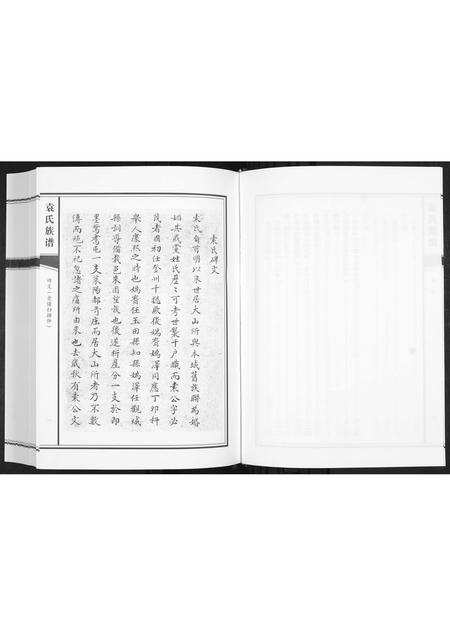 山东袁氏-袁氏族谱[不分卷].pdf电子版插图5