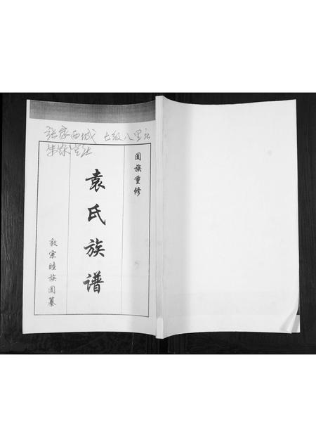 山东袁氏-袁氏族谱[不分卷].pdf电子版