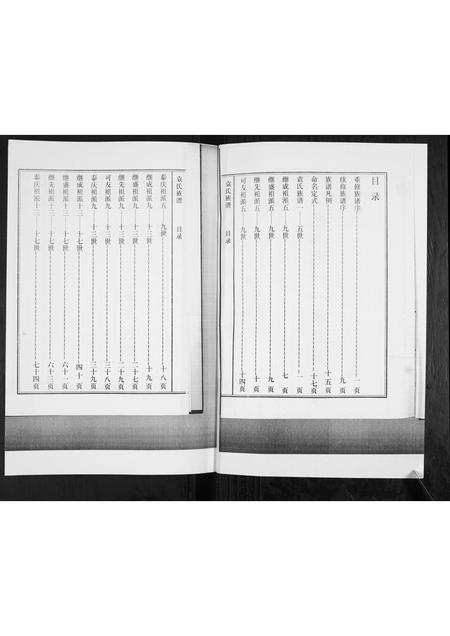 山东袁氏-袁氏族谱[不分卷].pdf电子版插图2