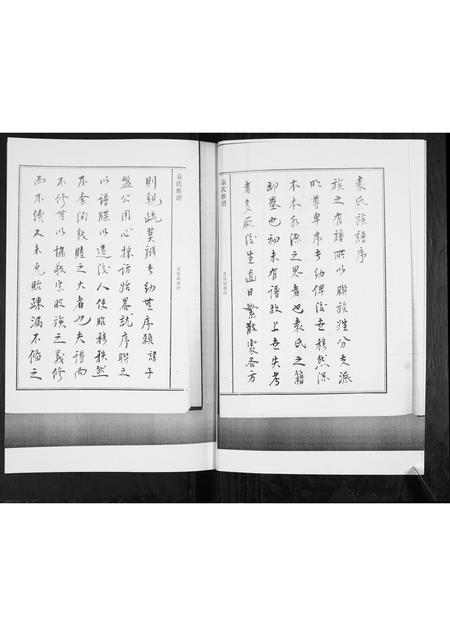 山东袁氏-袁氏族谱[不分卷].pdf电子版插图3