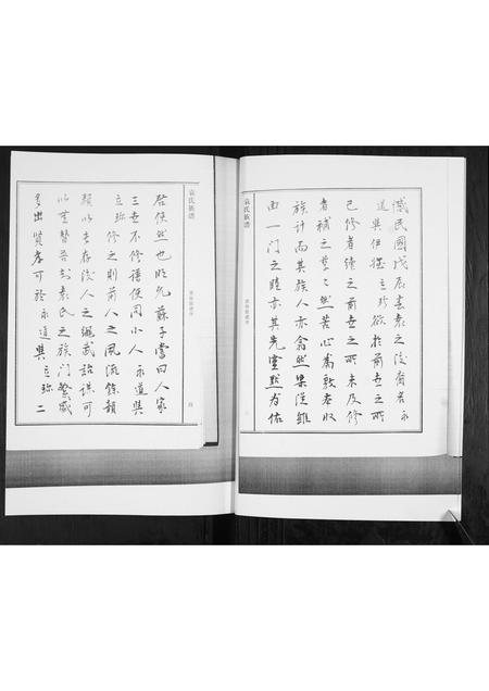 山东袁氏-袁氏族谱[不分卷].pdf电子版插图4