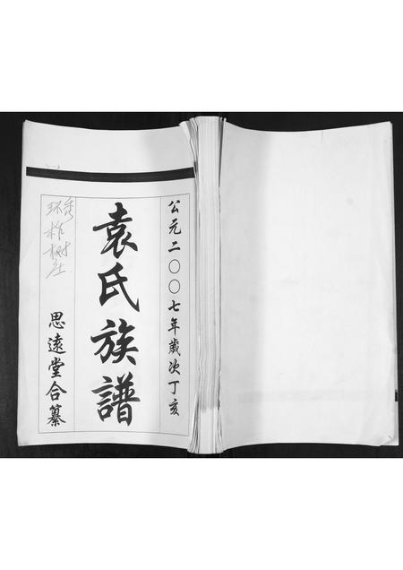 山东袁氏-袁氏族谱[不分卷].pdf电子版