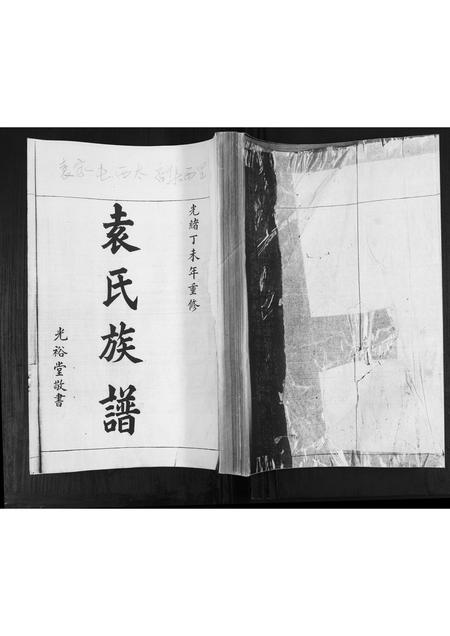 山东袁氏-袁氏族谱[不分卷].pdf电子版