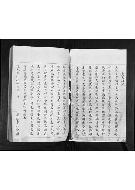 山东袁氏-袁氏族谱[不分卷].pdf电子版插图1