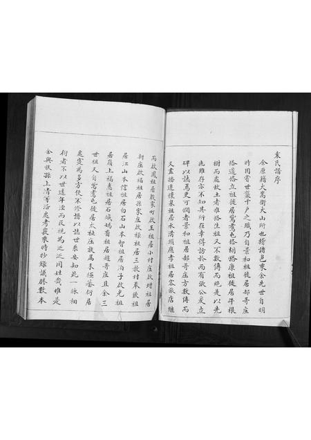 山东袁氏-袁氏族谱[不分卷].pdf电子版插图2