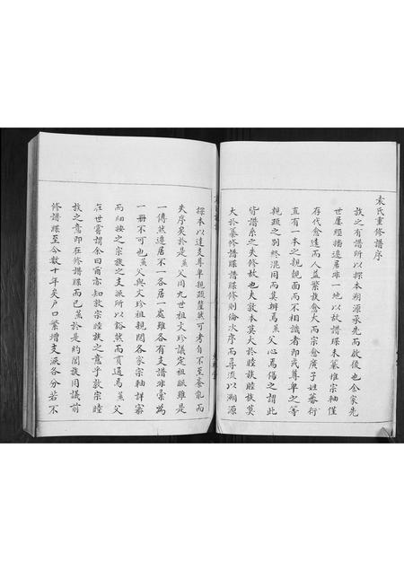 山东袁氏-袁氏族谱[不分卷].pdf电子版插图5