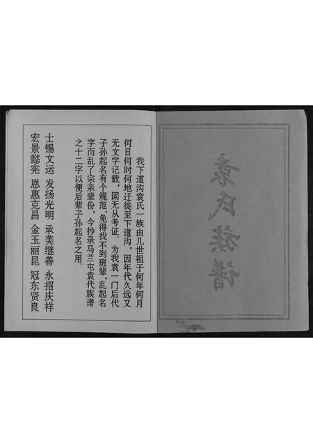 山东袁氏-袁氏族谱[不分卷].pdf电子版插图1