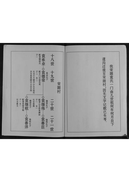 山东袁氏-袁氏族谱[不分卷].pdf电子版插图4