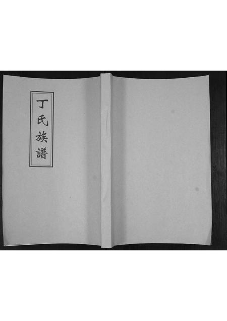 山东丁氏-丁氏族谱.pdf电子版插图 山东丁氏-丁氏族谱.pdf电子版插图