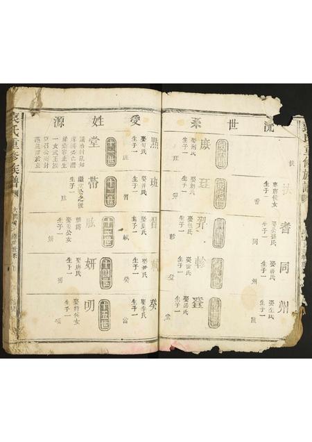河北袁氏-袁氏重修族谱.pdf电子版插图2