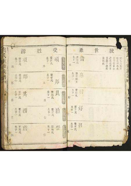 河北袁氏-袁氏重修族谱.pdf电子版插图3