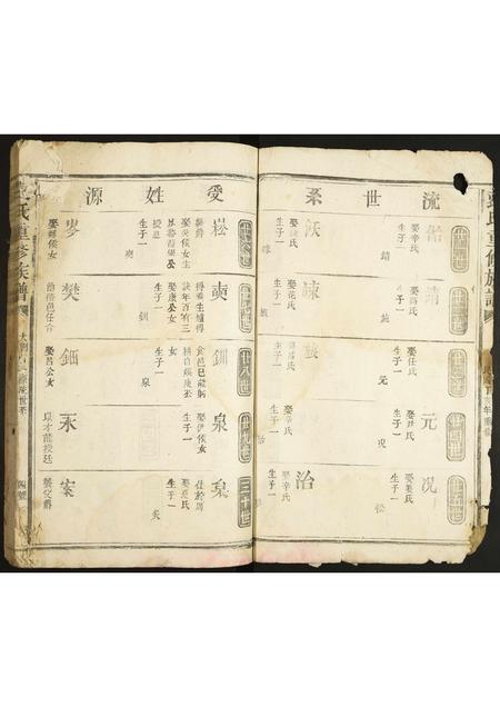 河北袁氏-袁氏重修族谱.pdf电子版插图4