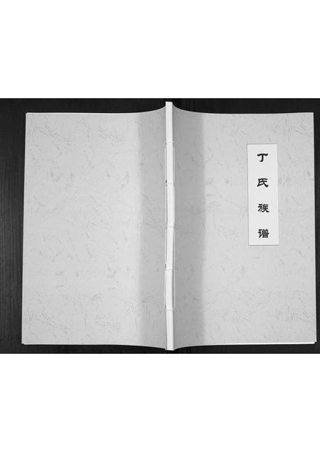 山东丁氏-丁氏族谱[不分卷].pdf电子版