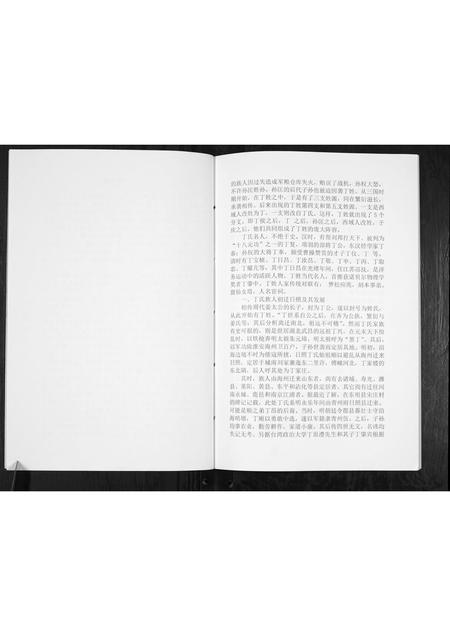 山东丁氏-丁氏族谱[不分卷].pdf电子版插图2