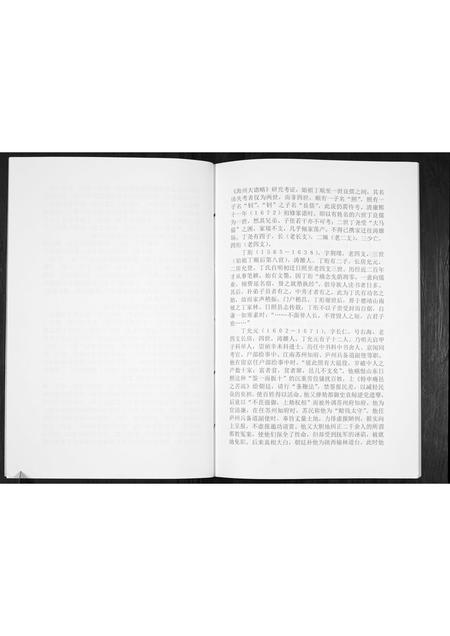 山东丁氏-丁氏族谱[不分卷].pdf电子版插图3