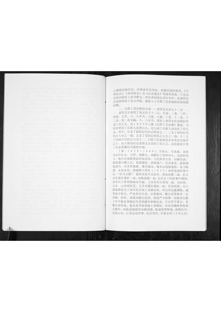 山东丁氏-丁氏族谱[不分卷].pdf电子版插图4