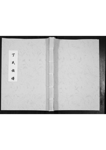 山东丁氏-丁氏族谱[不分卷].pdf电子版