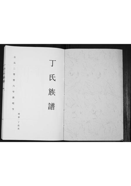 山东丁氏-丁氏族谱[不分卷].pdf电子版插图1