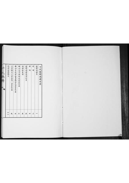 山东丁氏-丁氏族谱[不分卷].pdf电子版插图2