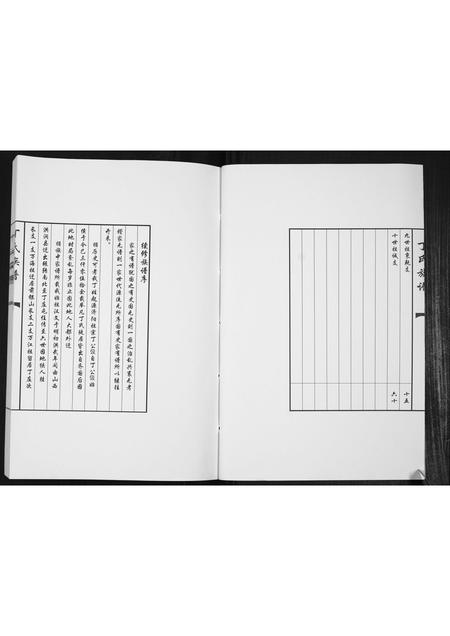 山东丁氏-丁氏族谱[不分卷].pdf电子版插图3